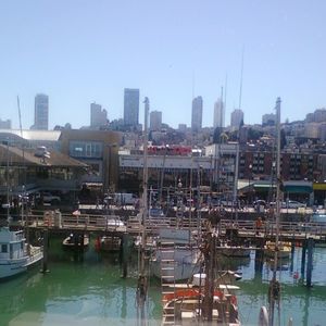 Meet your Posher, Adam